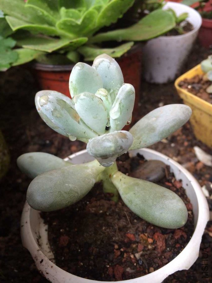 QQͼƬ20150731100508.jpg