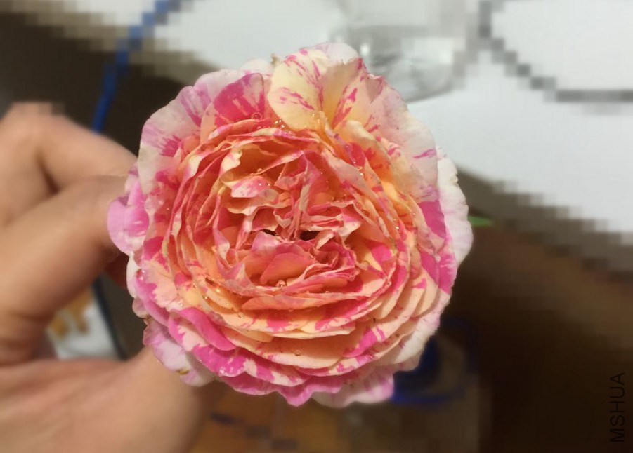 20150702-1.jpg