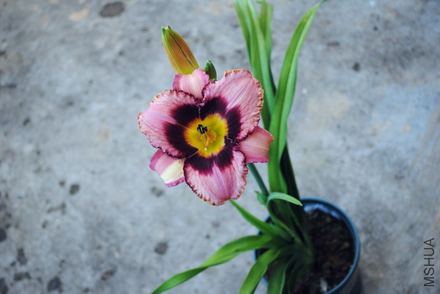 ����ʵ� (2).jpg