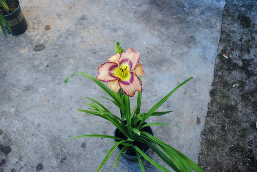 �����ʵ� (1).jpg