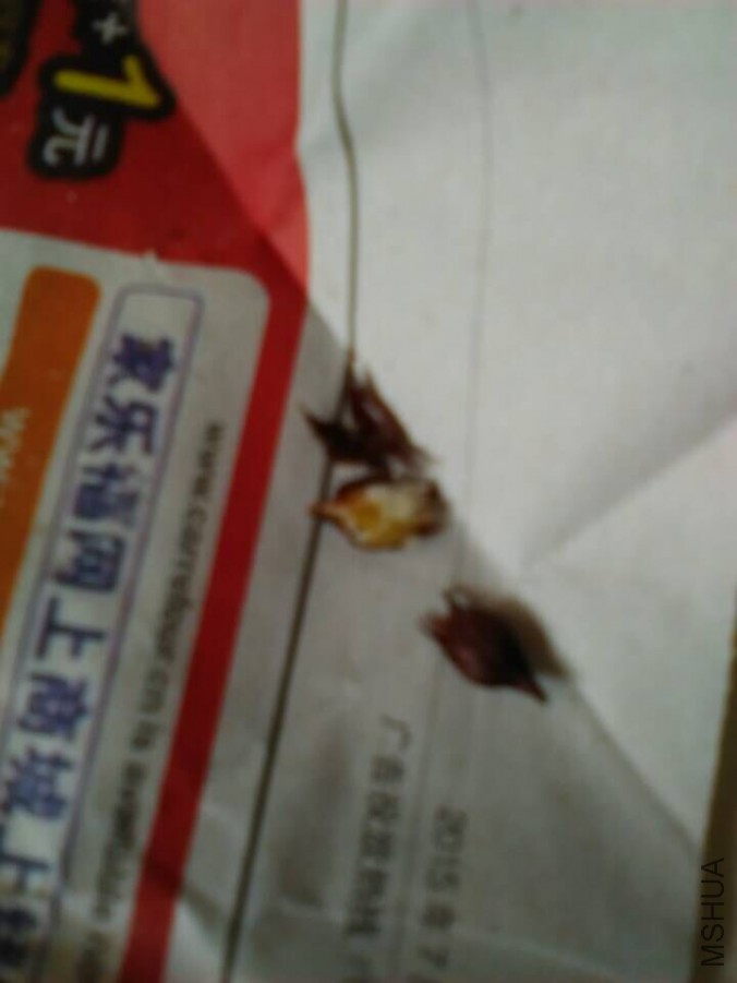 QQͼƬ20150802074717.jpg