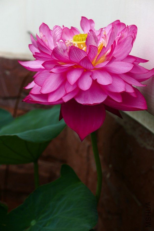 L1130246 15-07-22.jpg