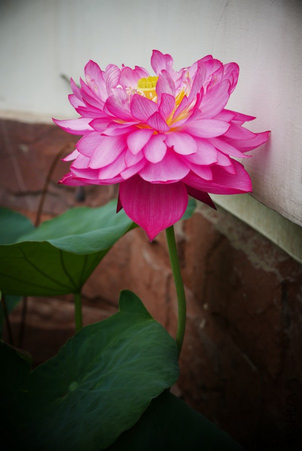 L1130276 15-07-22.jpg