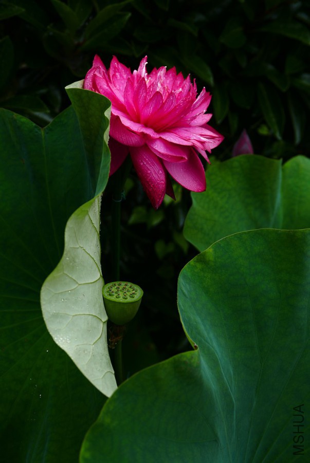 L1110729 15-07-12.jpg