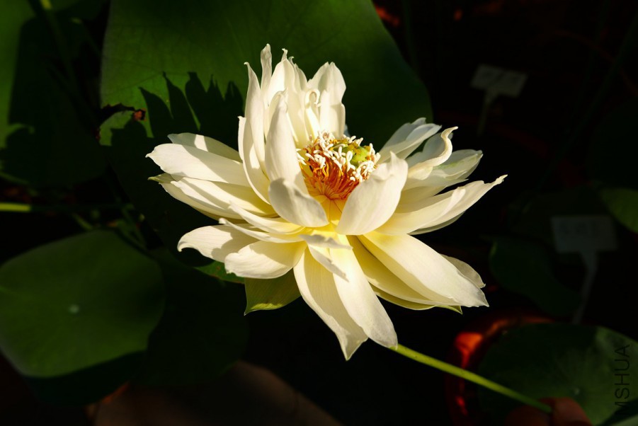 L1140344 15-07-30.jpg