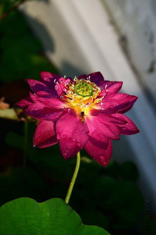 DSC_5679.jpg