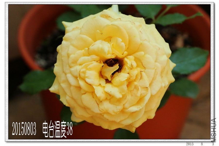 2015080303.jpg