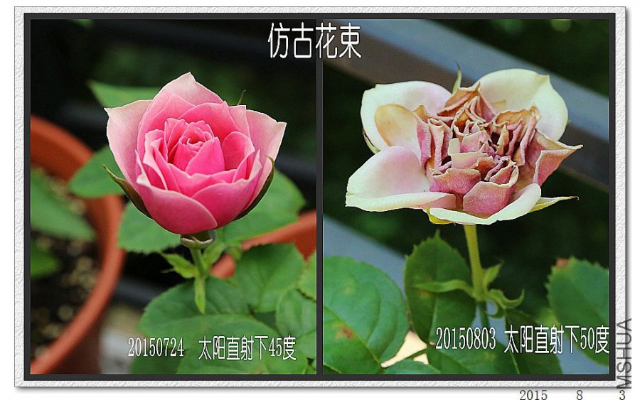 2015080301.jpg