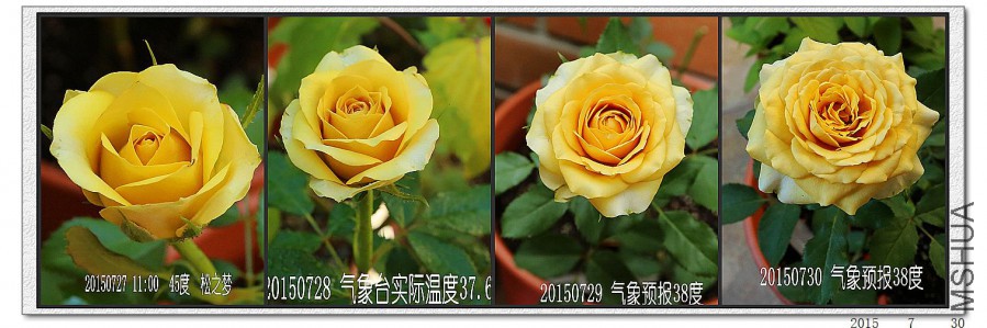 2015073003.jpg