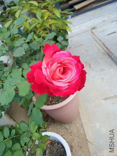 ���װ���