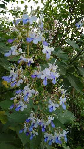 IMG_20141104_163010.jpg