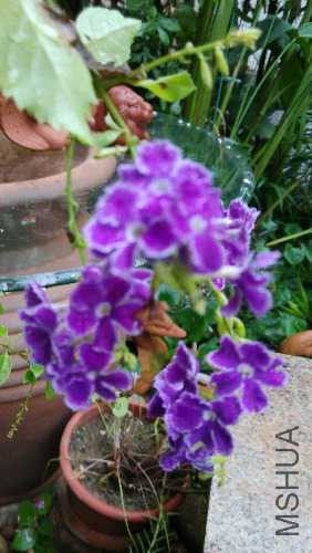 IMG_20140718_182008.jpg