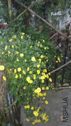 IMG_20141220_175003.jpg