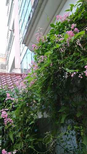 IMG_20141014_173512.jpg