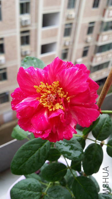 20150802_082949.jpg