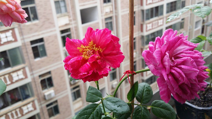 20150802_082958.jpg