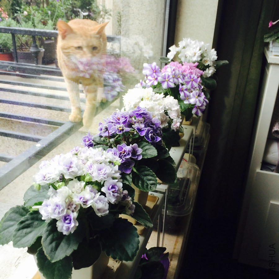 2015-05-30 111509.jpg
