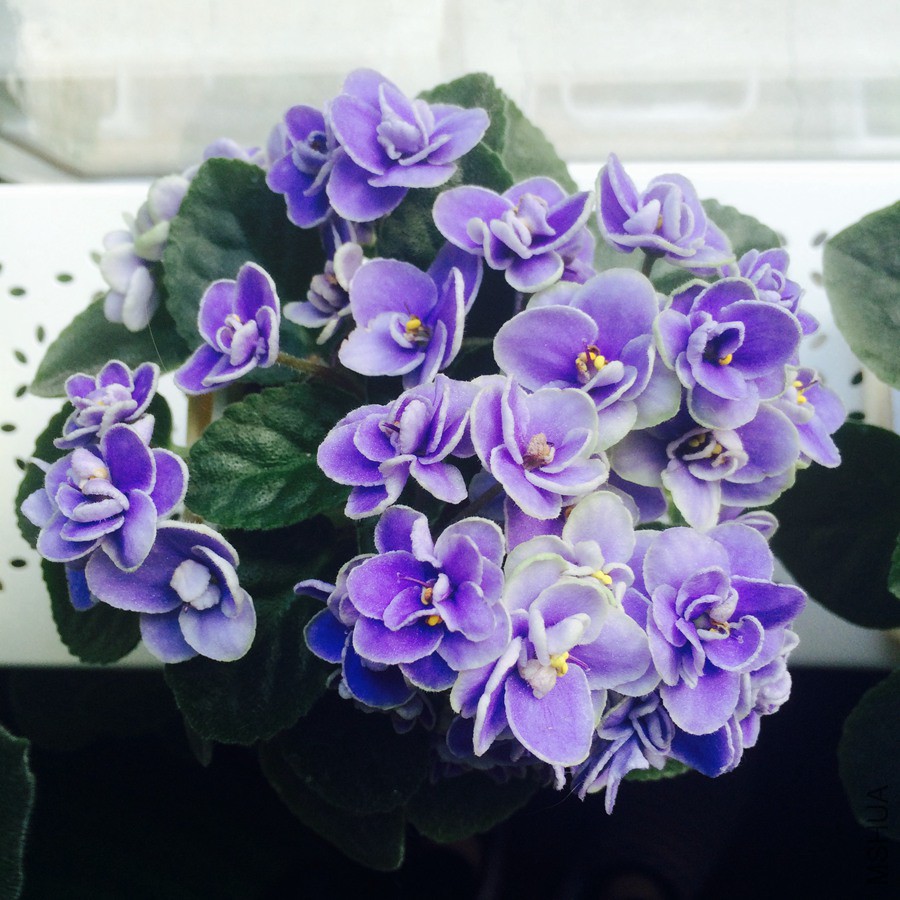 2015-05-17 155056.jpg