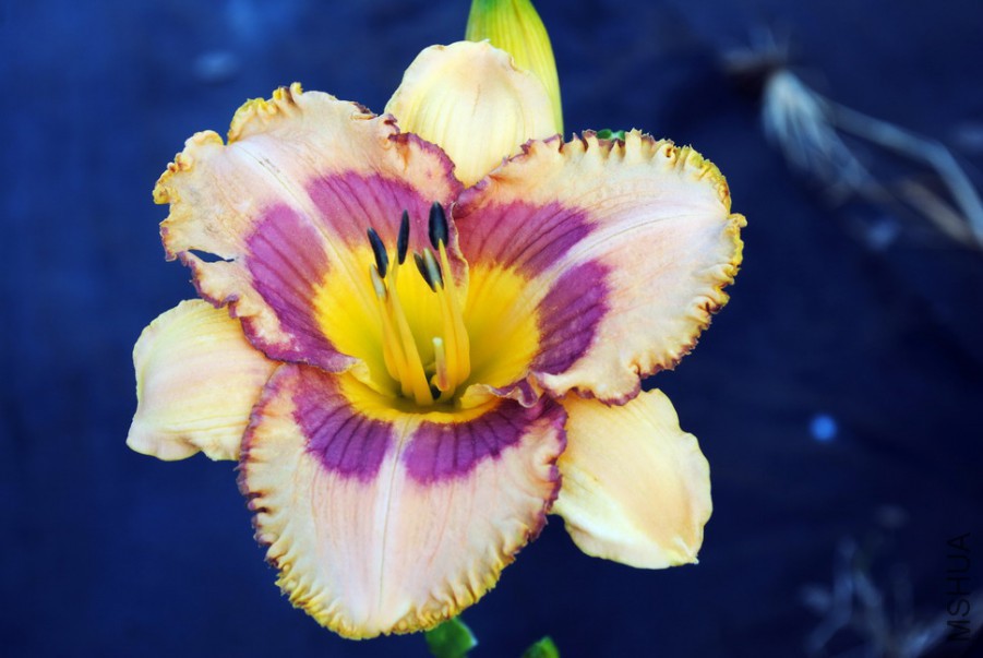 ���Ҳʵ� (2).jpg