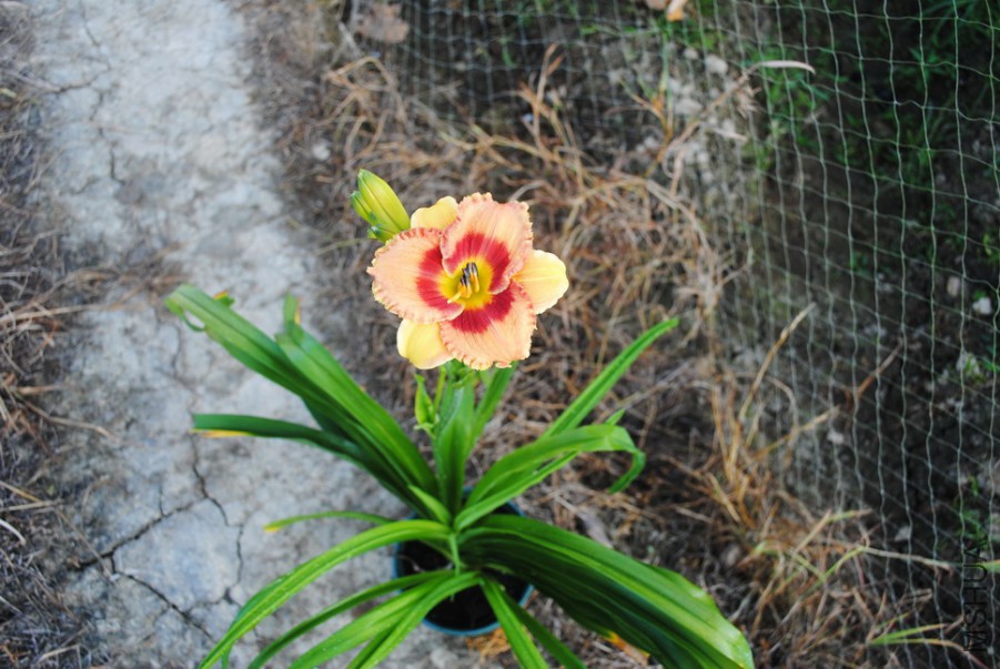 ����ʵ� (1).jpg