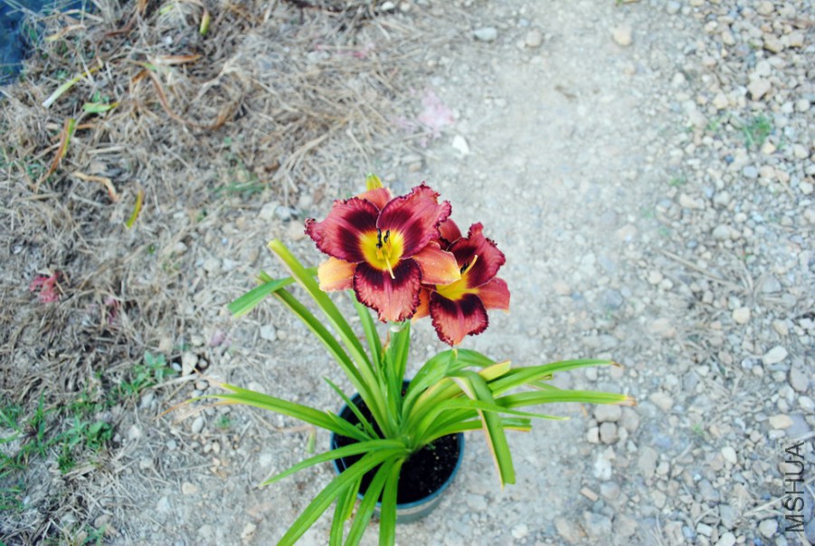 ħ���ʵ�2 (1).jpg