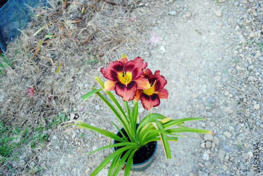 ħ���ʵ�2 (2).jpg