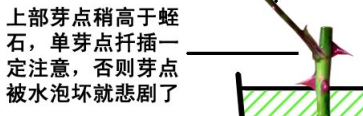 QQͼƬ20150807140449.jpg