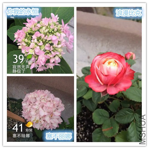 psb (8)_����.jpg