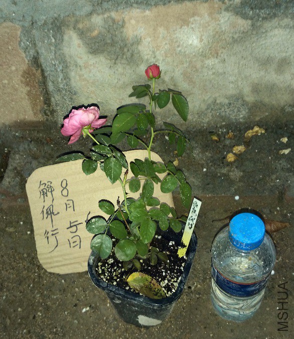 IMG_20150806_190523.jpg