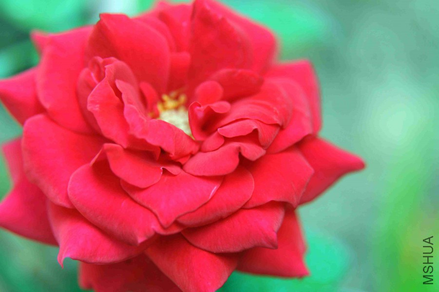 DSC_4748_����.jpg