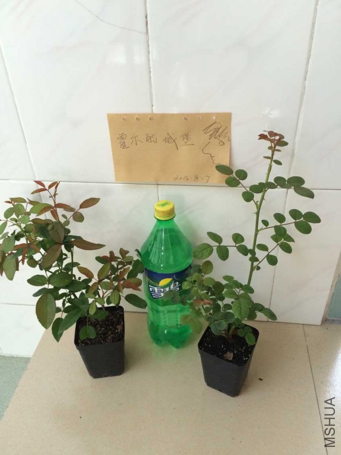 QQͼƬ20150807092746.jpg