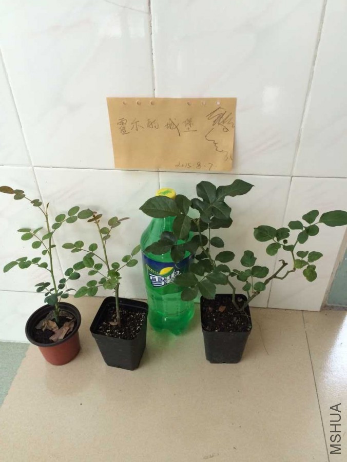 QQͼƬ20150807092754.jpg