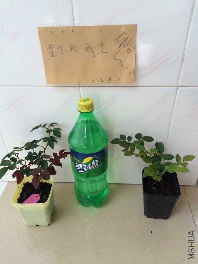 QQͼƬ20150807092759.jpg