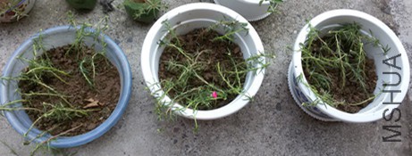 20150807_133557_����.jpg