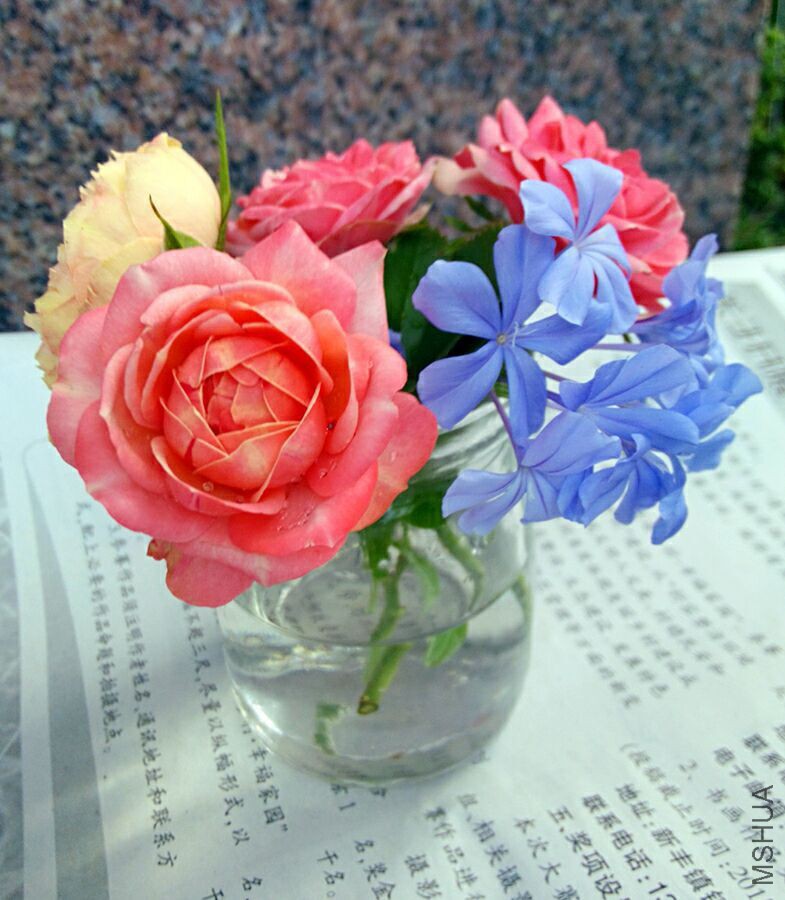 QQͼƬ20150808091107.jpg