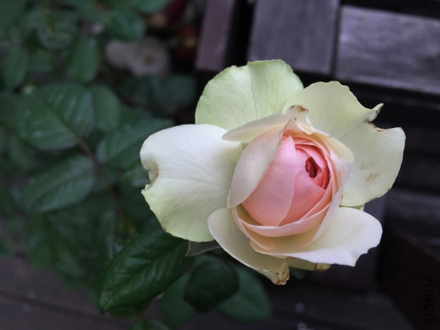 �ӽ��뿪������