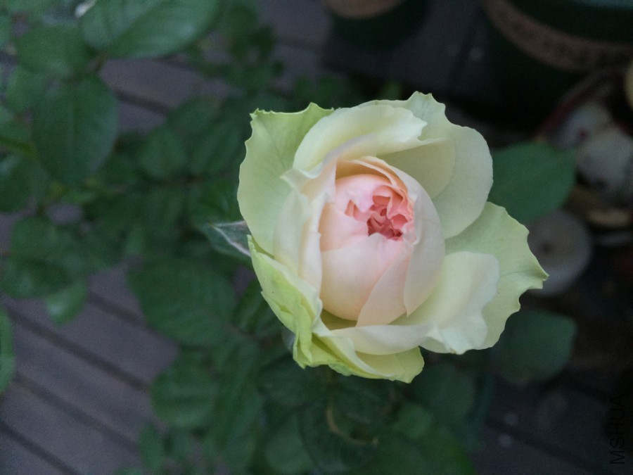 �뿪��ʱ��������