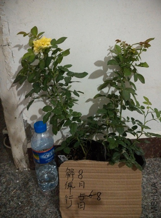 IMG_20150808_203814.jpg