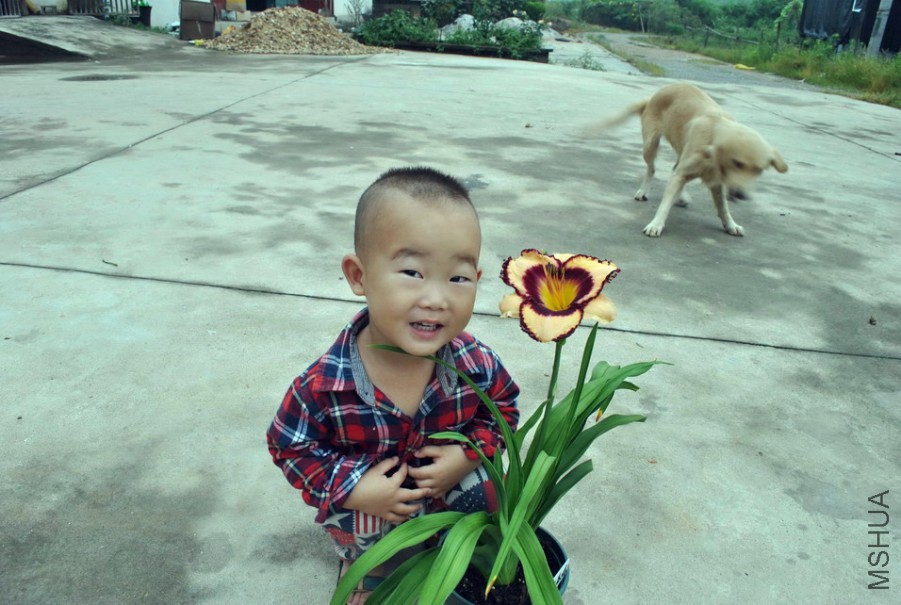 F1-790���Ĳʵ� (9).jpg