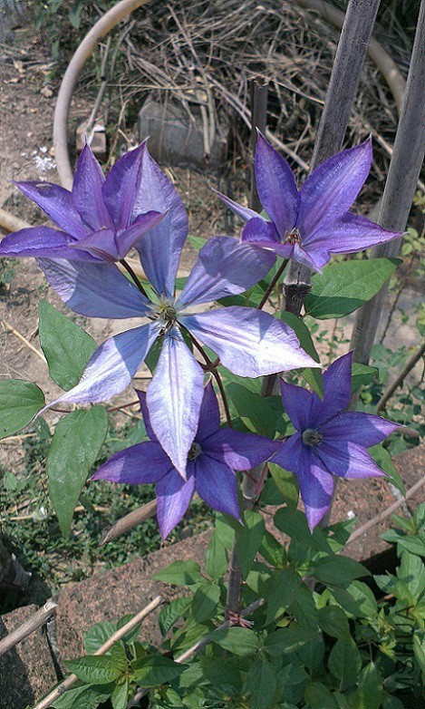 IMAG1280.jpg