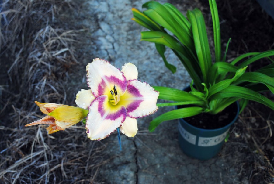 ��ʹ�ʵ�1 (1).jpg