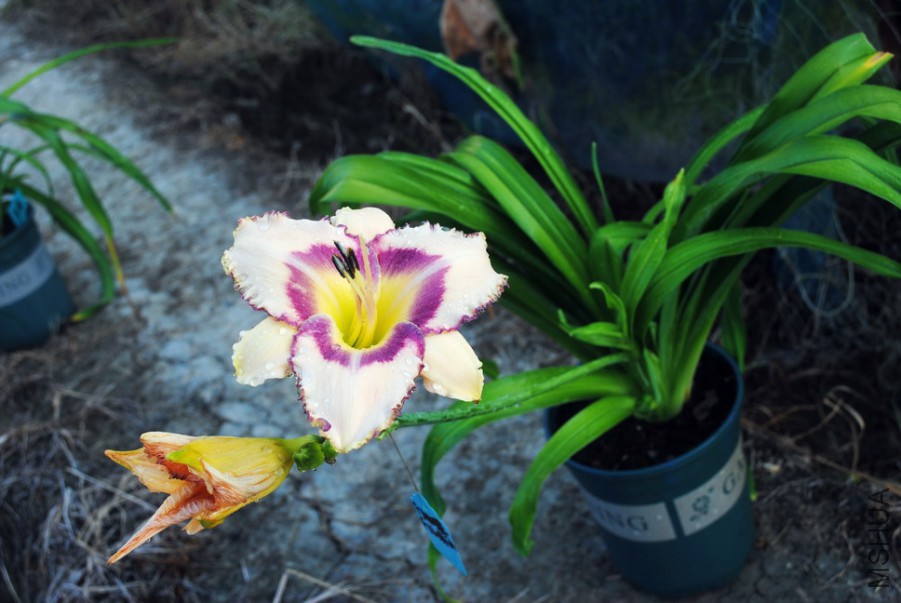 ��ʹ�ʵ�1 (2).jpg