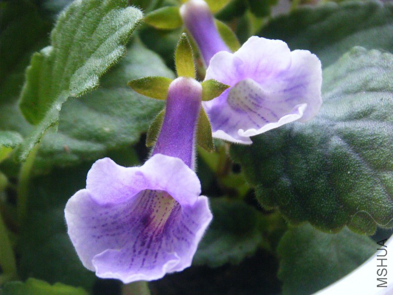 DSCF1467_����.jpg