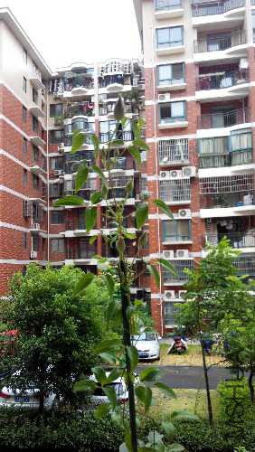 IMG_20150810_091904.jpg