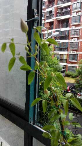 IMG_20150810_092349.jpg