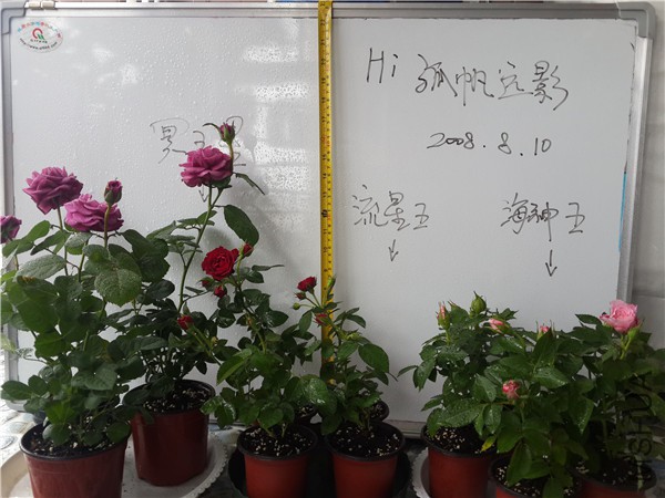 20150810_121411.jpg