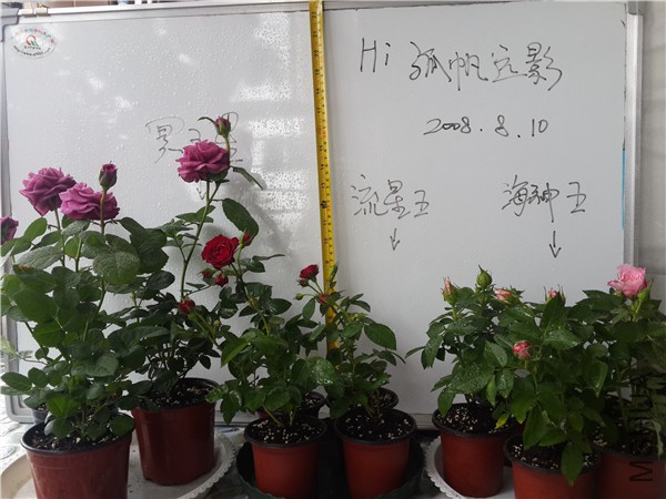 20150810_121439.jpg