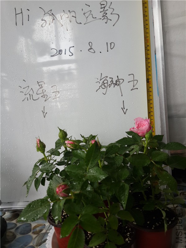 20150810_121857.jpg