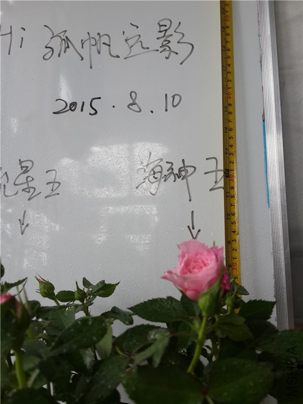 20150810_121951.jpg