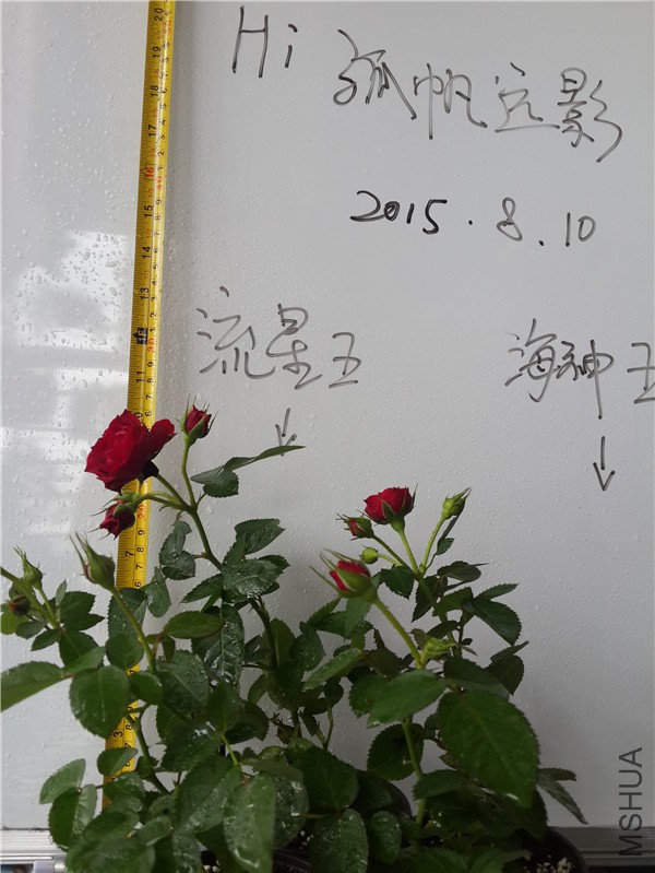 20150810_122052.jpg